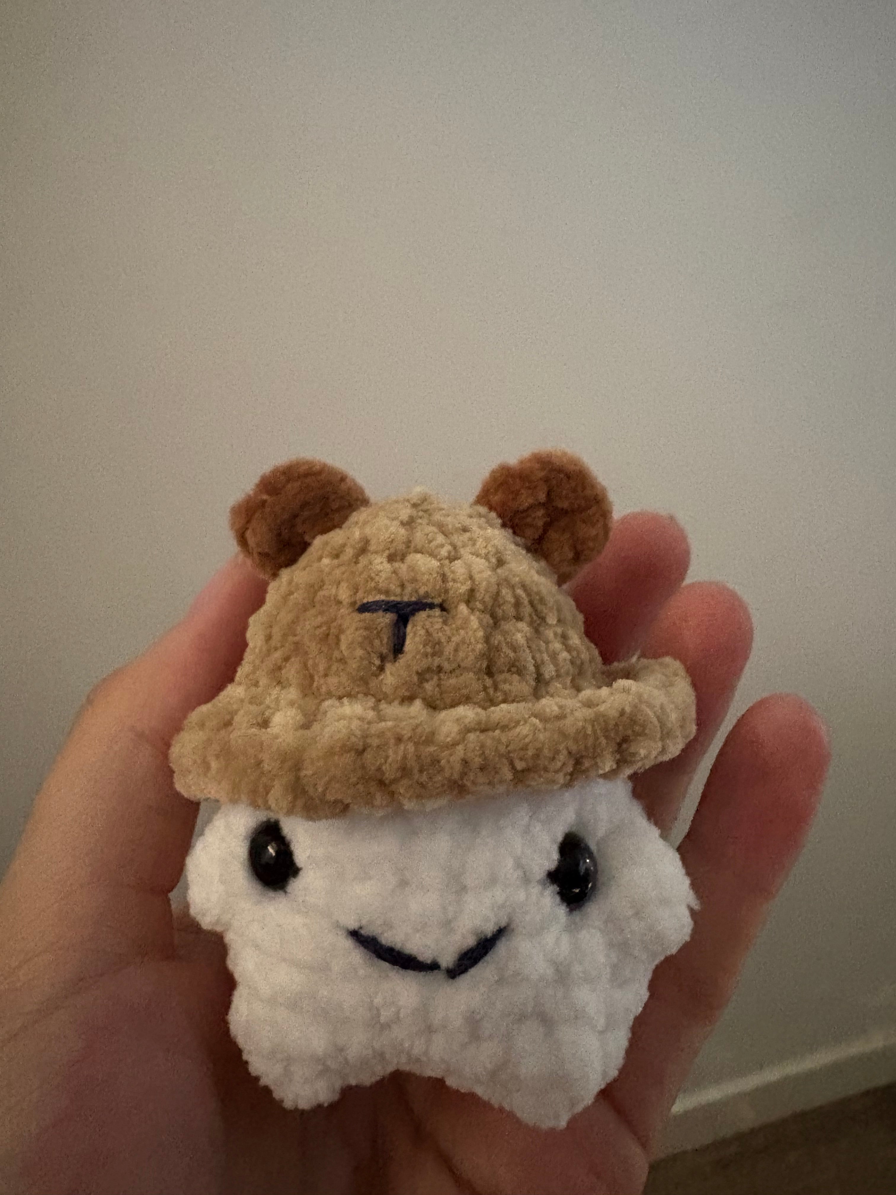 Le champi'choux au crochet