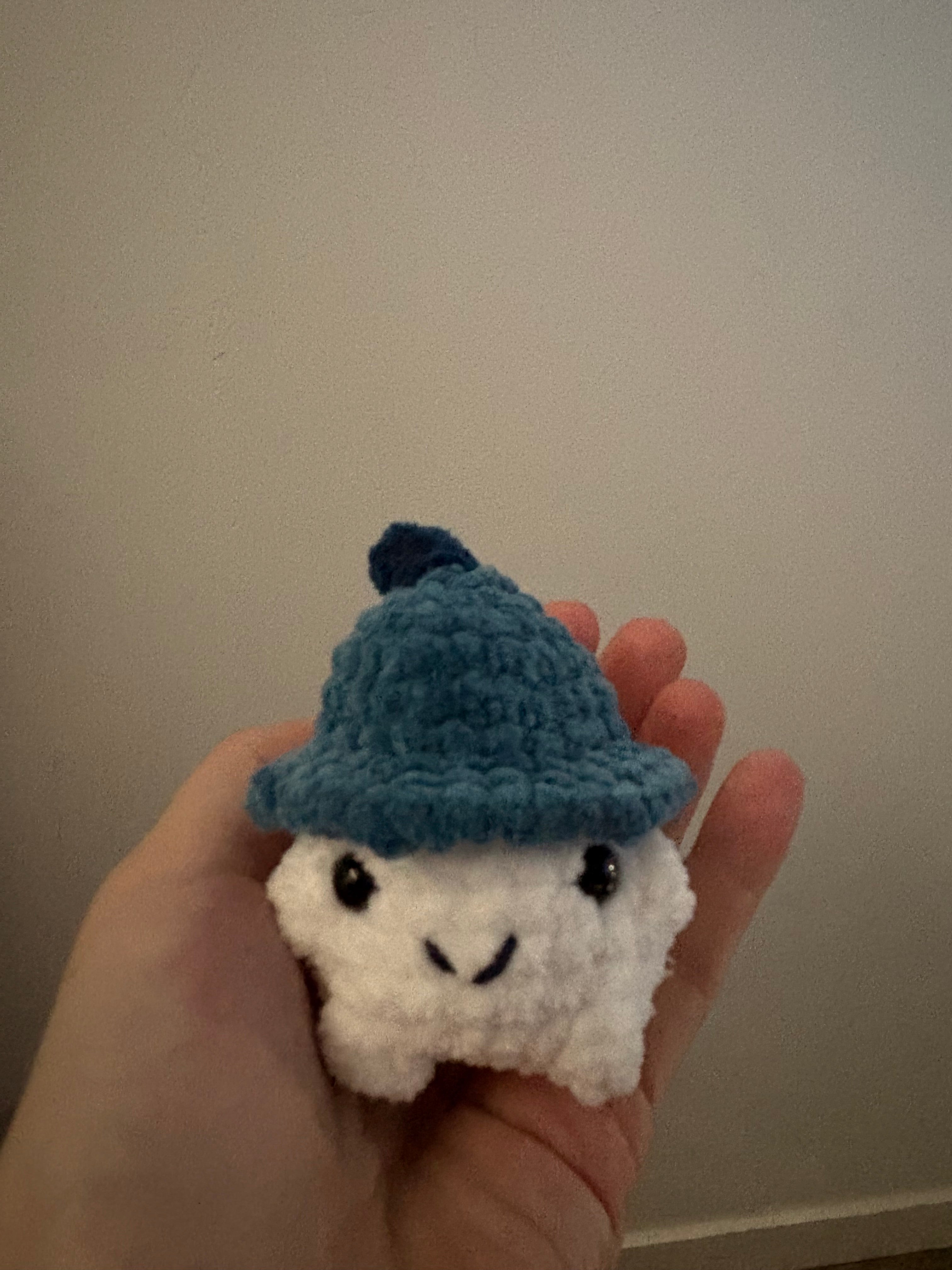 Le champi'choux au crochet